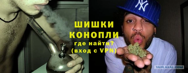 шишки Майский