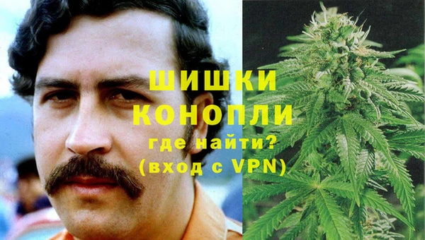 шишки Майский