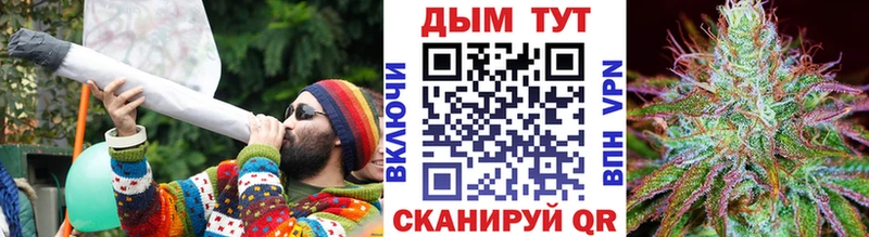 Шишки марихуана OG Kush  маркетплейс клад  Барыш  закладка 